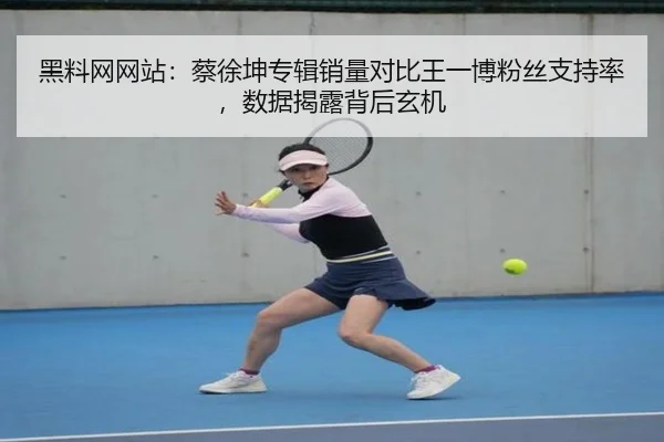黑料网网站：蔡徐坤专辑销量对比王一博粉丝支持率，数据揭露背后玄机